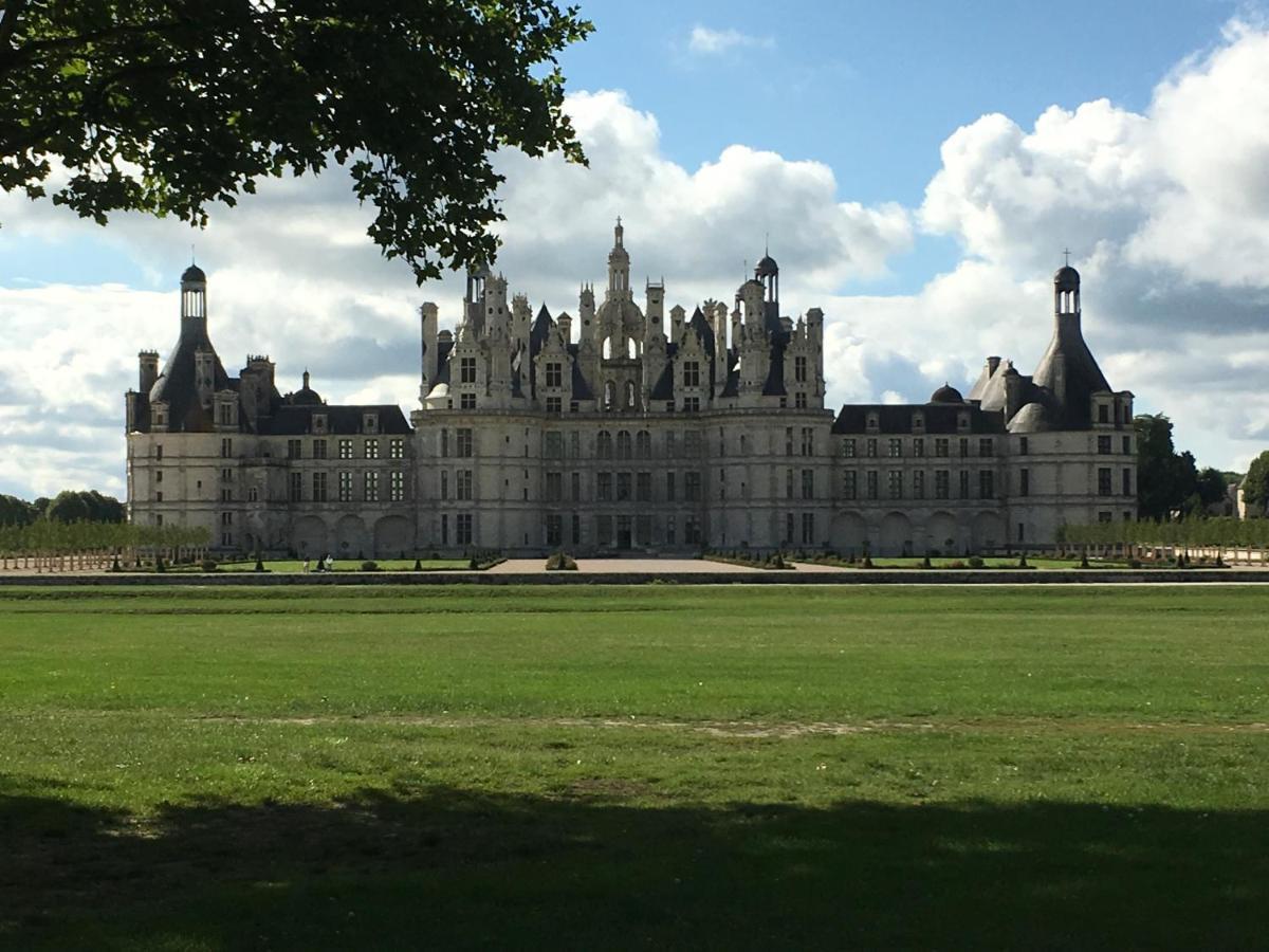 Bed and Breakfast Belem Romorantin-Lanthenay Exterior foto